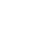 Padlock icon