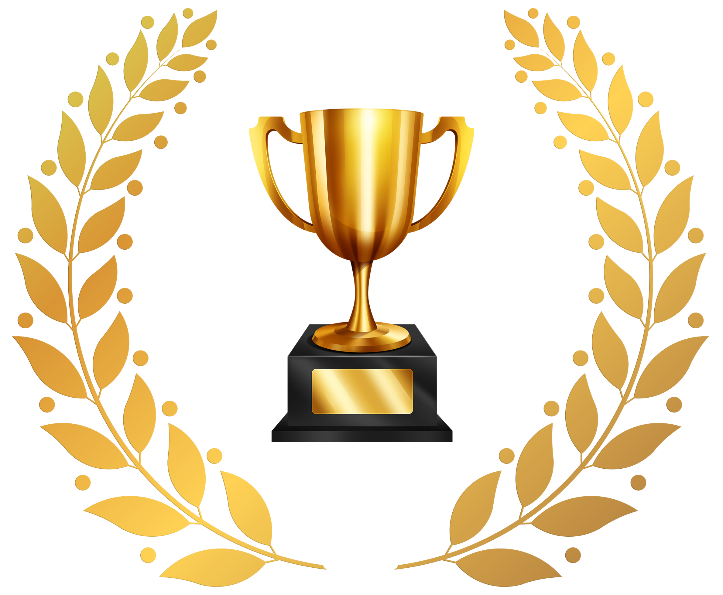 Achievement 1